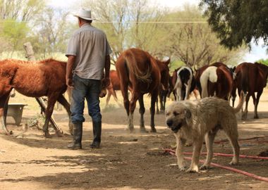 Farm life