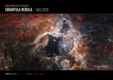 Tarantula Nebula frame