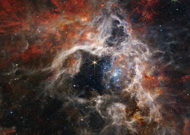 Tarantula Nebula