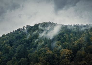 Peaceful fall scene