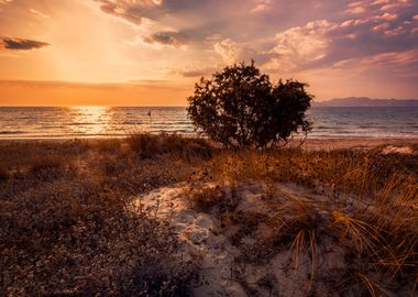 Holiday sunset in Greece