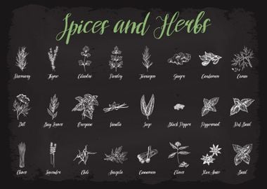 Spices and Herbs Guide