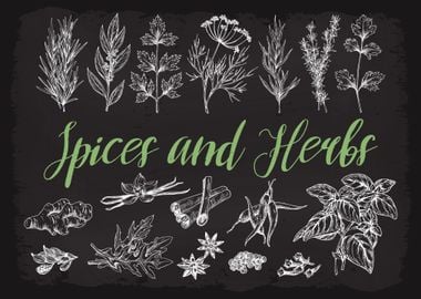 Spices and Herbs