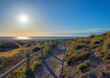 Beach access landscape