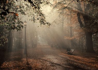 Autumn journey to the park