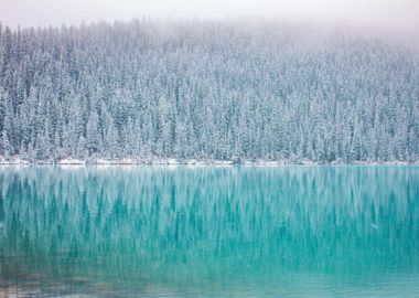 Frozen Forest Reflection