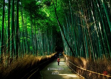 Arashiyama Bamboo Grove