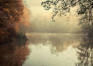 Autumn morning lake park