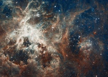 Tarantula Nebula