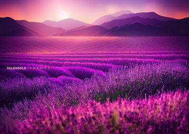 VALENSOLE FRANCE