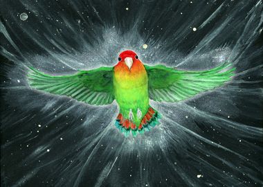  Flying lovebird