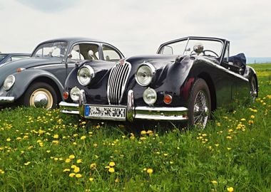 Classic Jaguar convertible