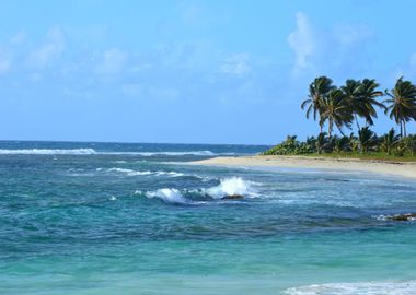 Sandy Sea Palm Beach