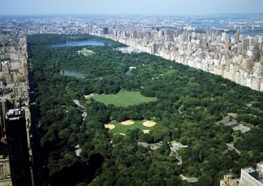 Central park in New York