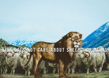 Lion Does Not Care