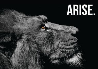 Arise Lion Motivation