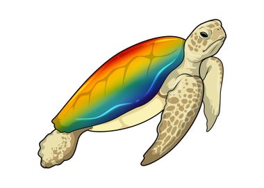 Turtle Shell Rainbow