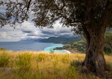 Sea landscape Greek Island