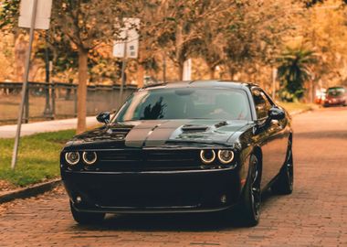 American muscle autumn