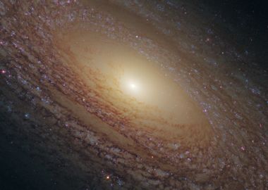 NGC 2841