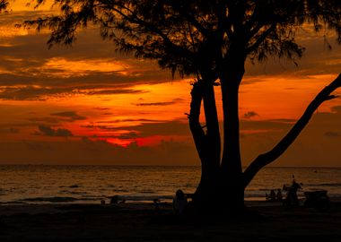 Sunset on the exotic beach