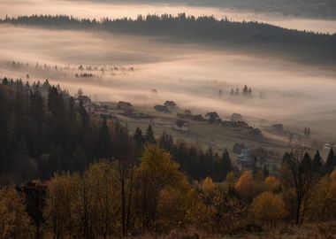 Misty autumn dawn Poland