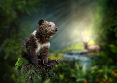 Bear cub sits on a stump