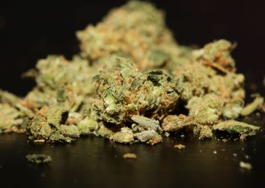 Medical marihuana close up