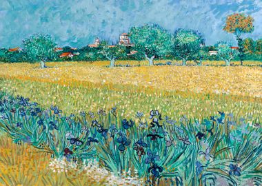 View of Arles with Irises