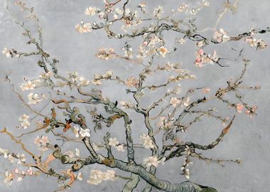 Almond Blossoms in Gray