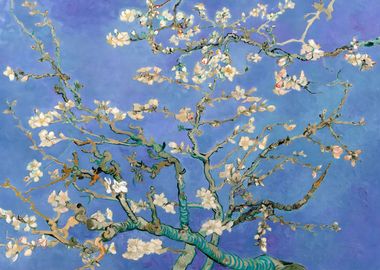 Almond Blossoms in Blue