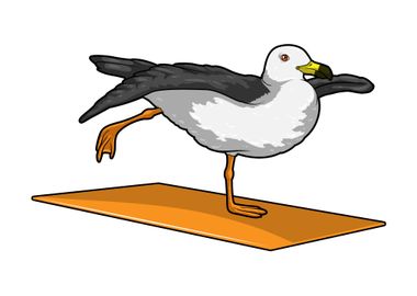 Sea gull Yoga Meditation