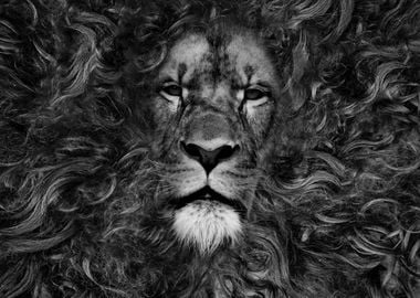 the lion