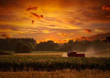 Landscape, sunset, Poland