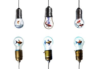 Fish six in lightbulb glas