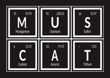 Elements of Muscat City