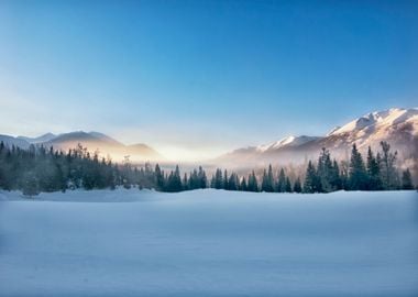 Mountains in Forest Winter