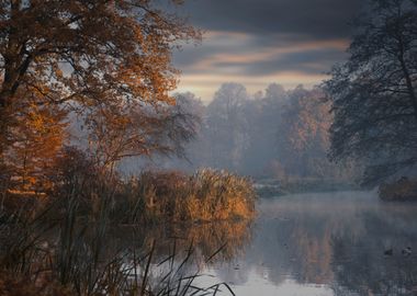 Autumn foggy lake in park