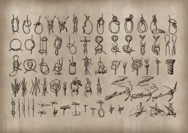 Vintage Knots Drawing