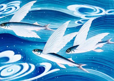 Japanese flying fish