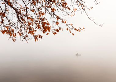 Autumn foggy lake, Poland