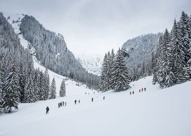 Snow Winter Landscape