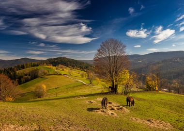 Mountain landscape, Poland