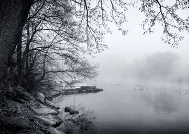 Autumn lake Black White