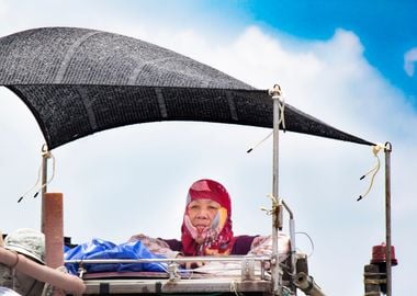 Oyster picker