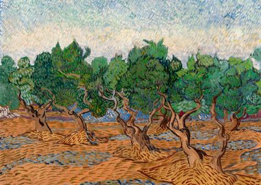 Van Gogh Olive Grove 1889