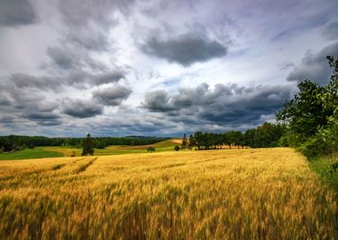 Rural landscape, Poland