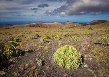 Spain island, Lanzarote