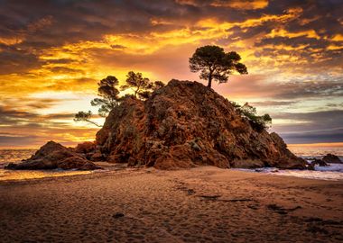 Beach sunset landscape