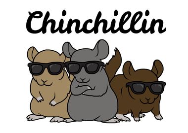 Chinchilla Pet Gift Kids